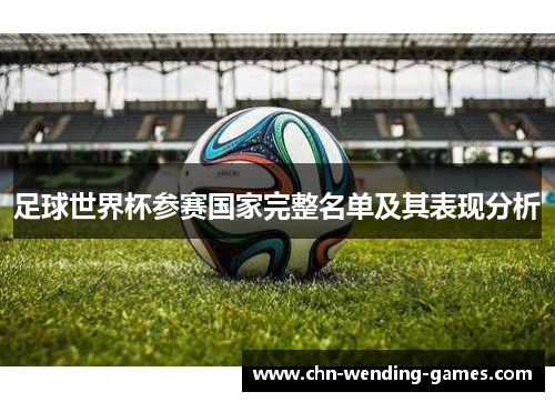 足球世界杯参赛国家完整名单及其表现分析