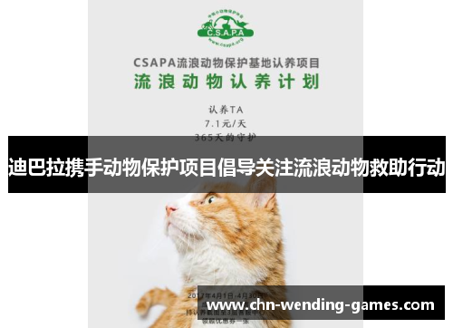 迪巴拉携手动物保护项目倡导关注流浪动物救助行动