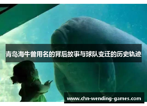 青岛海牛曾用名的背后故事与球队变迁的历史轨迹 青岛海牛曾用名的背后故事与球队变迁的历史轨迹